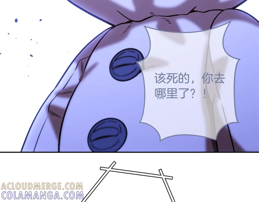 第241页
