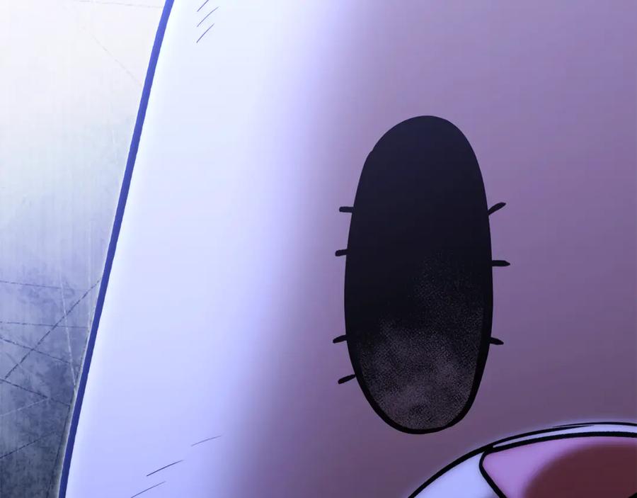 第244页