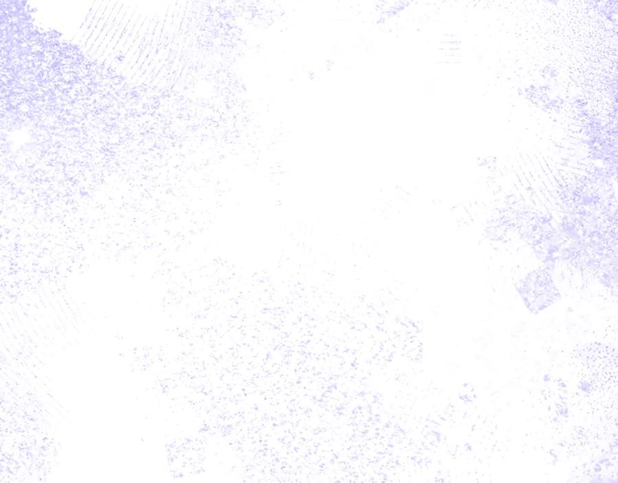 第303页
