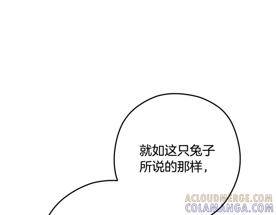 第241页