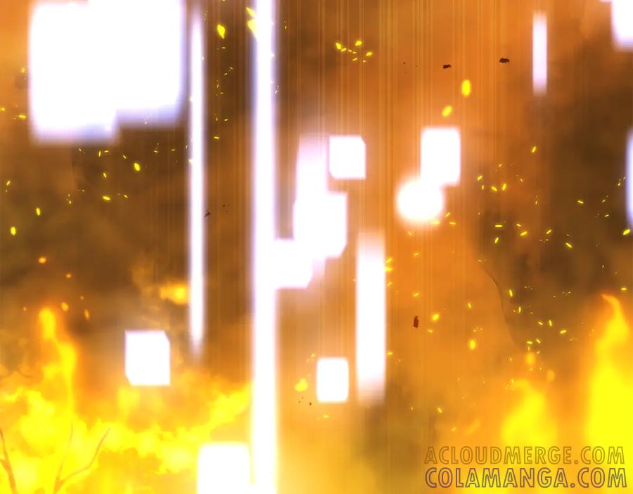 第217页