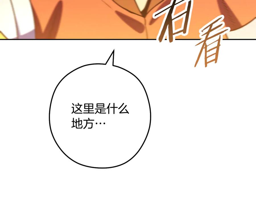 第236页