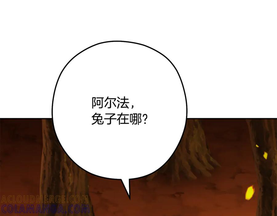 第241页