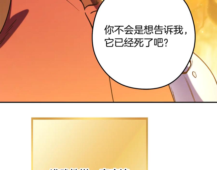 第247页