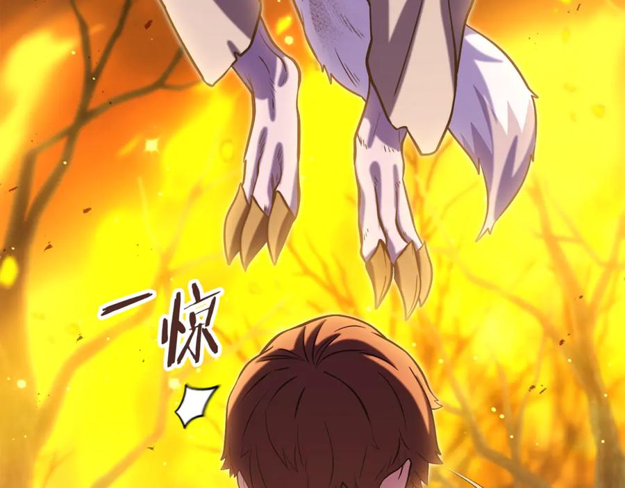 第255页