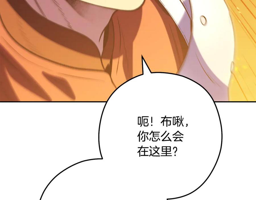 第262页