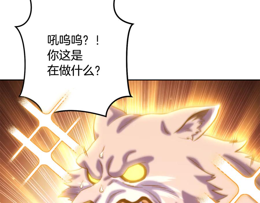 第212页