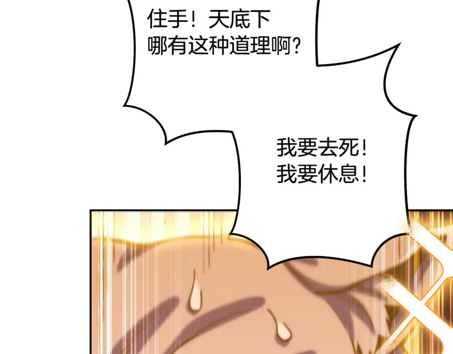 第215页