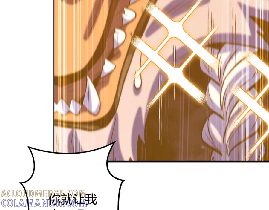 第217页