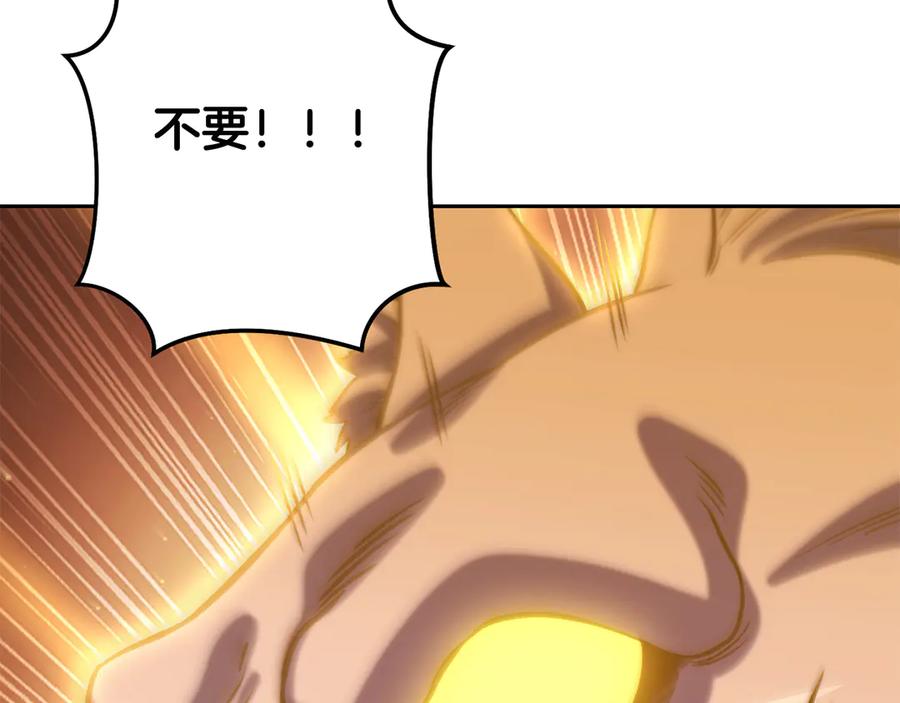 第223页
