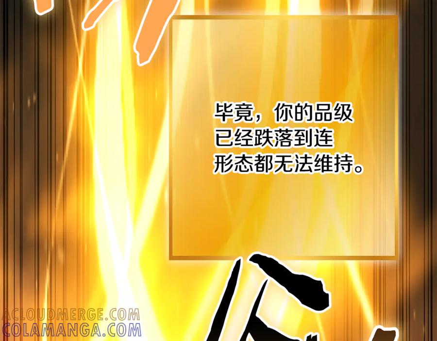 第229页
