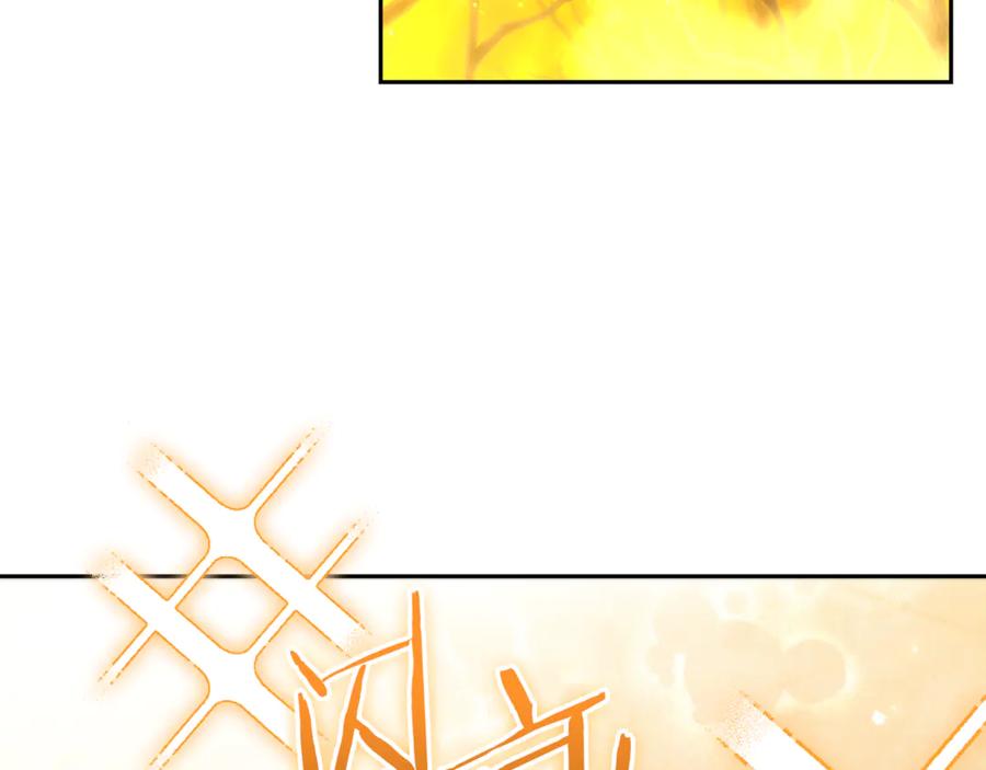 第238页