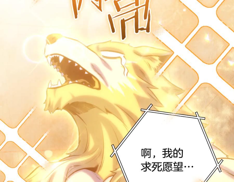 第239页