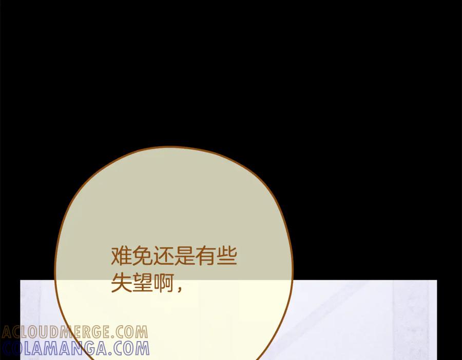 第217页