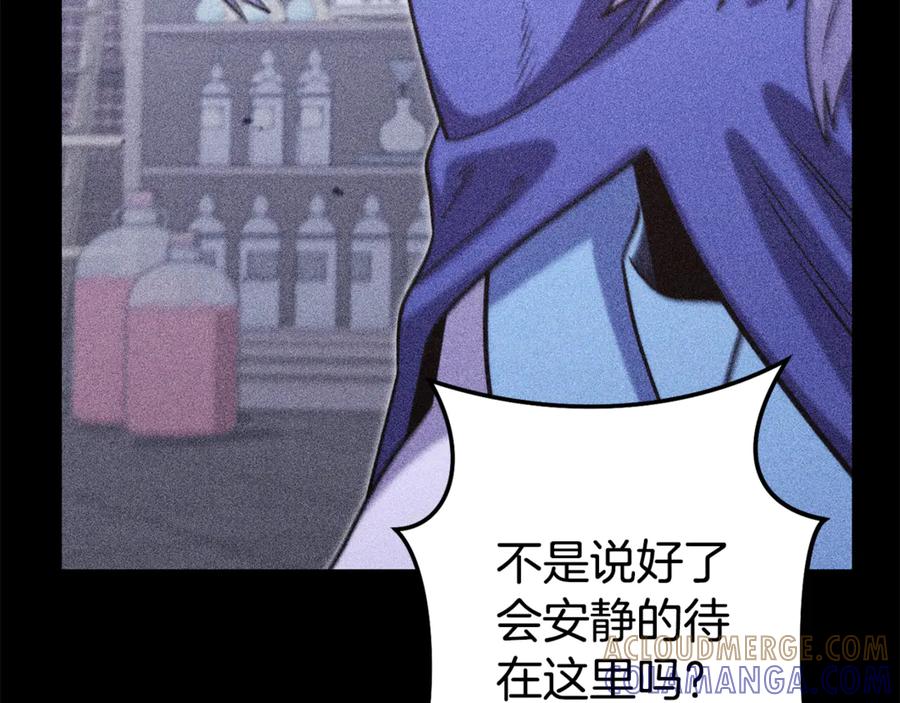 第241页