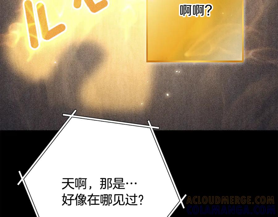 第221页