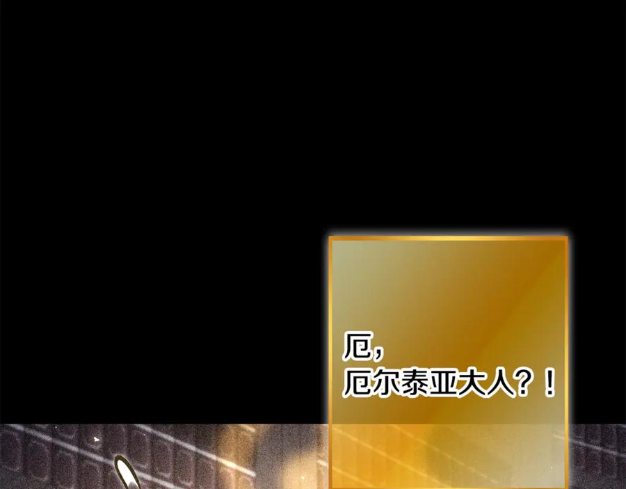 第223页