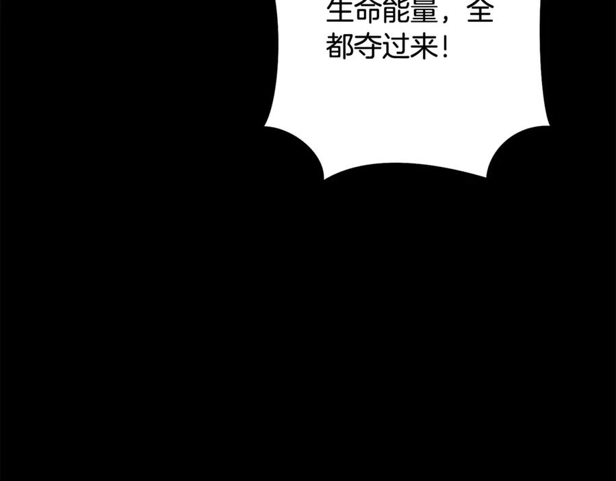 第284页