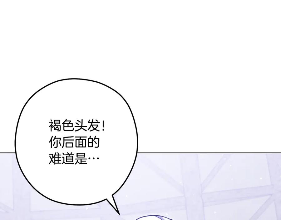 第223页