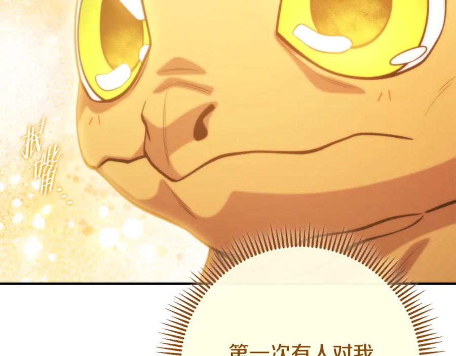 第224页