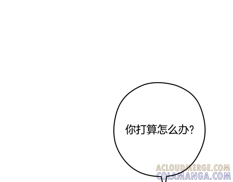 第241页