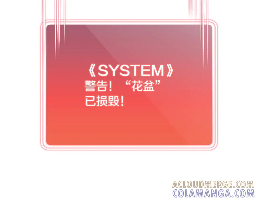 第273页