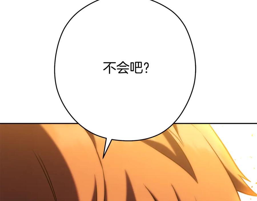 第223页
