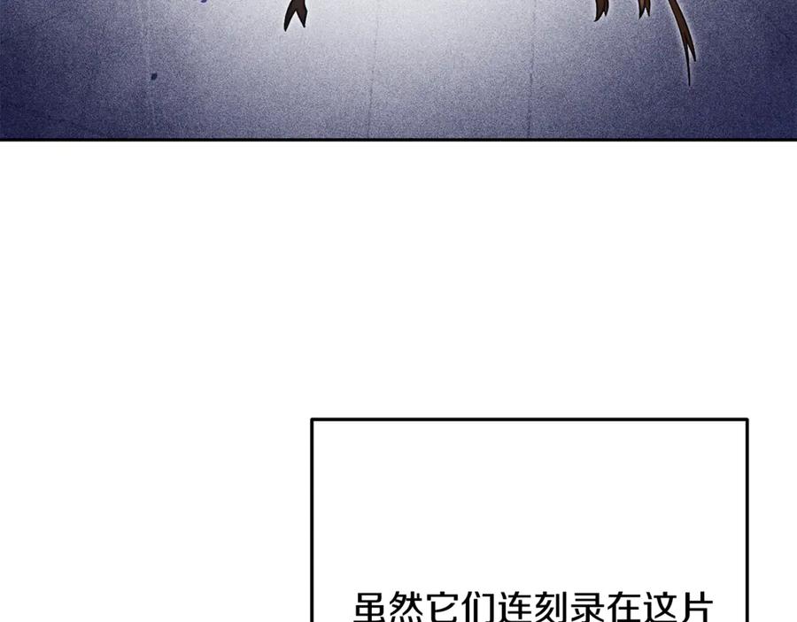 第235页