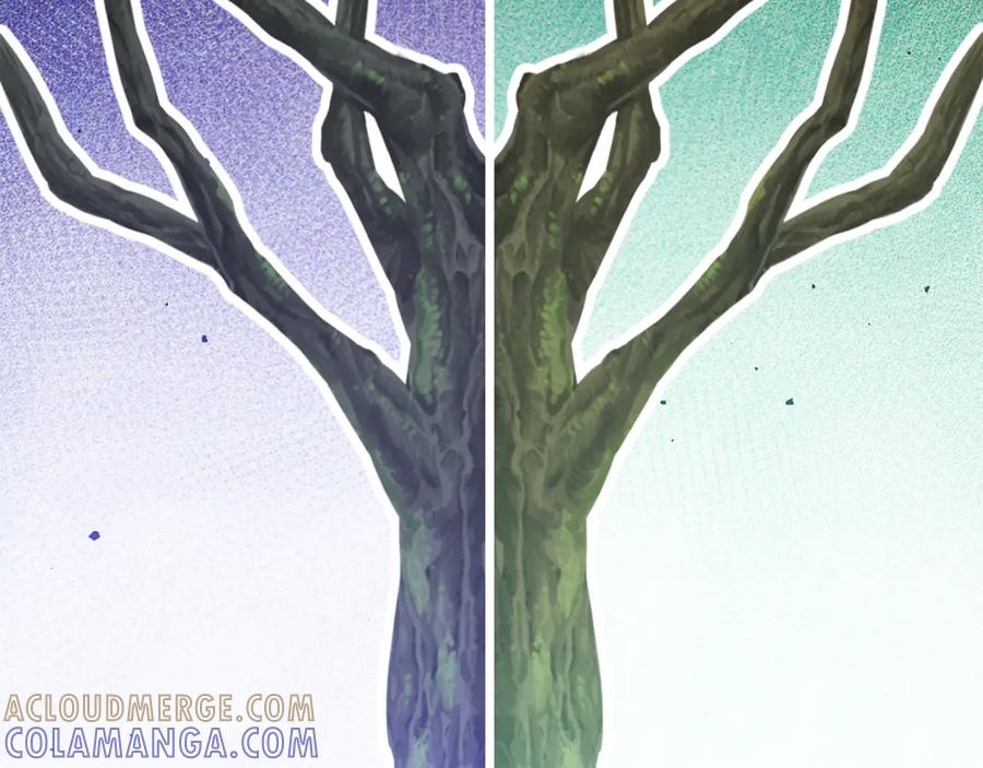 第237页
