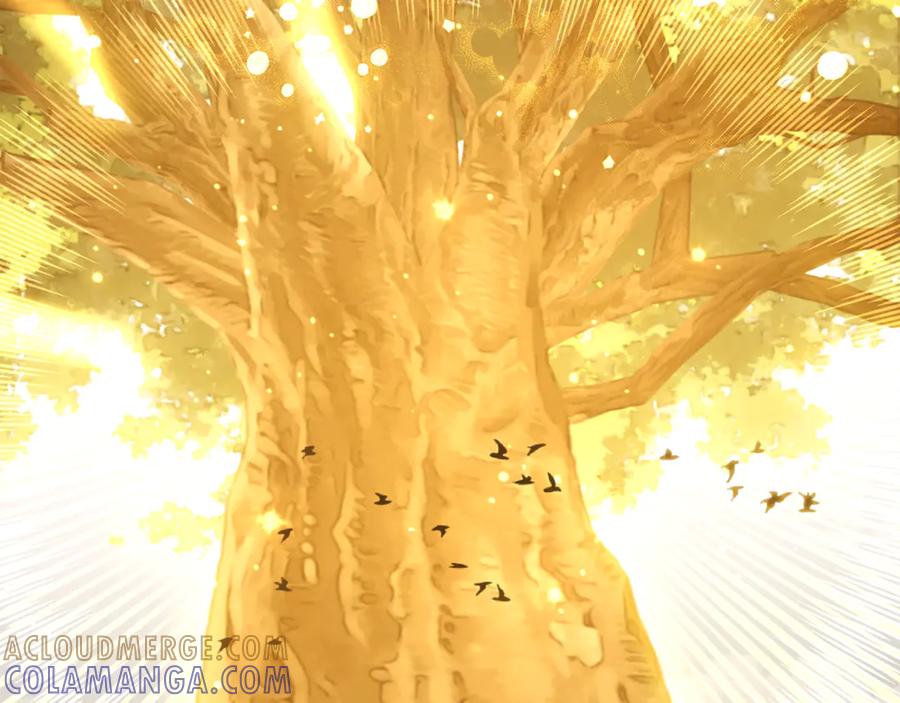 第245页