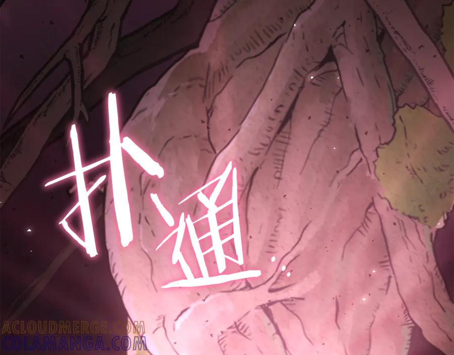 第269页