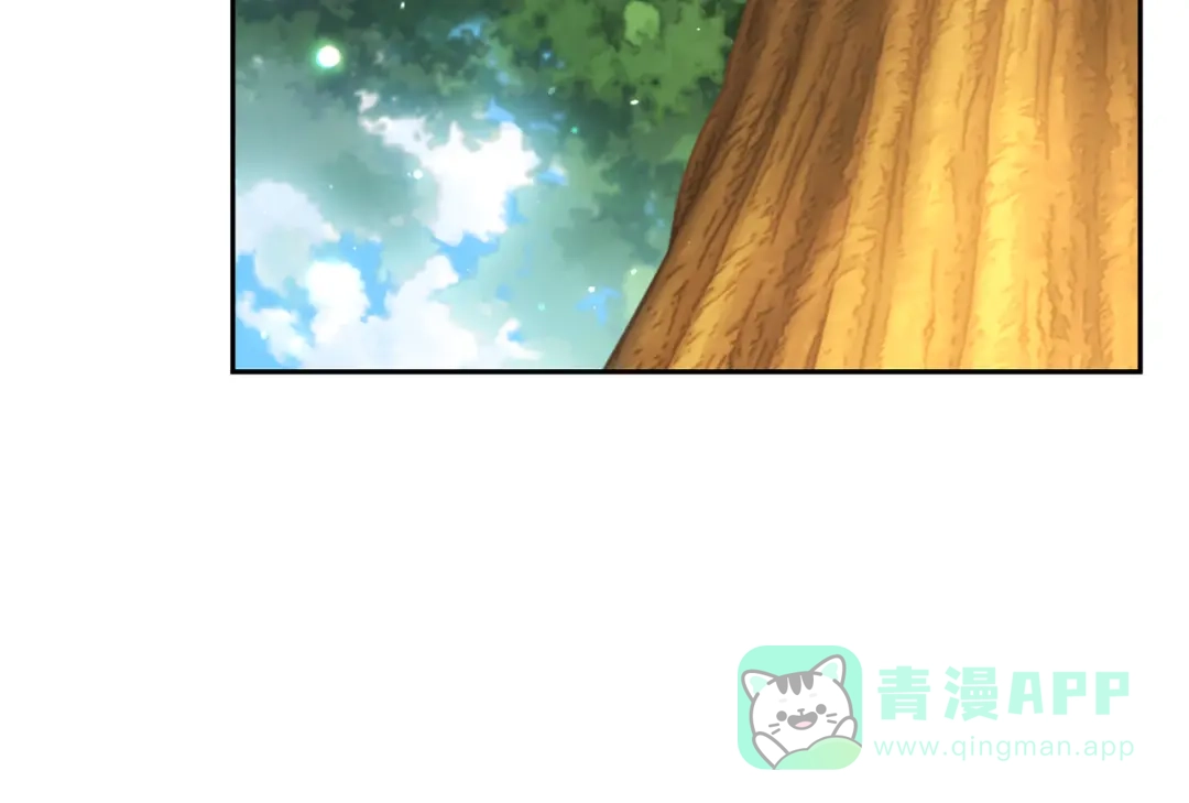 第241页