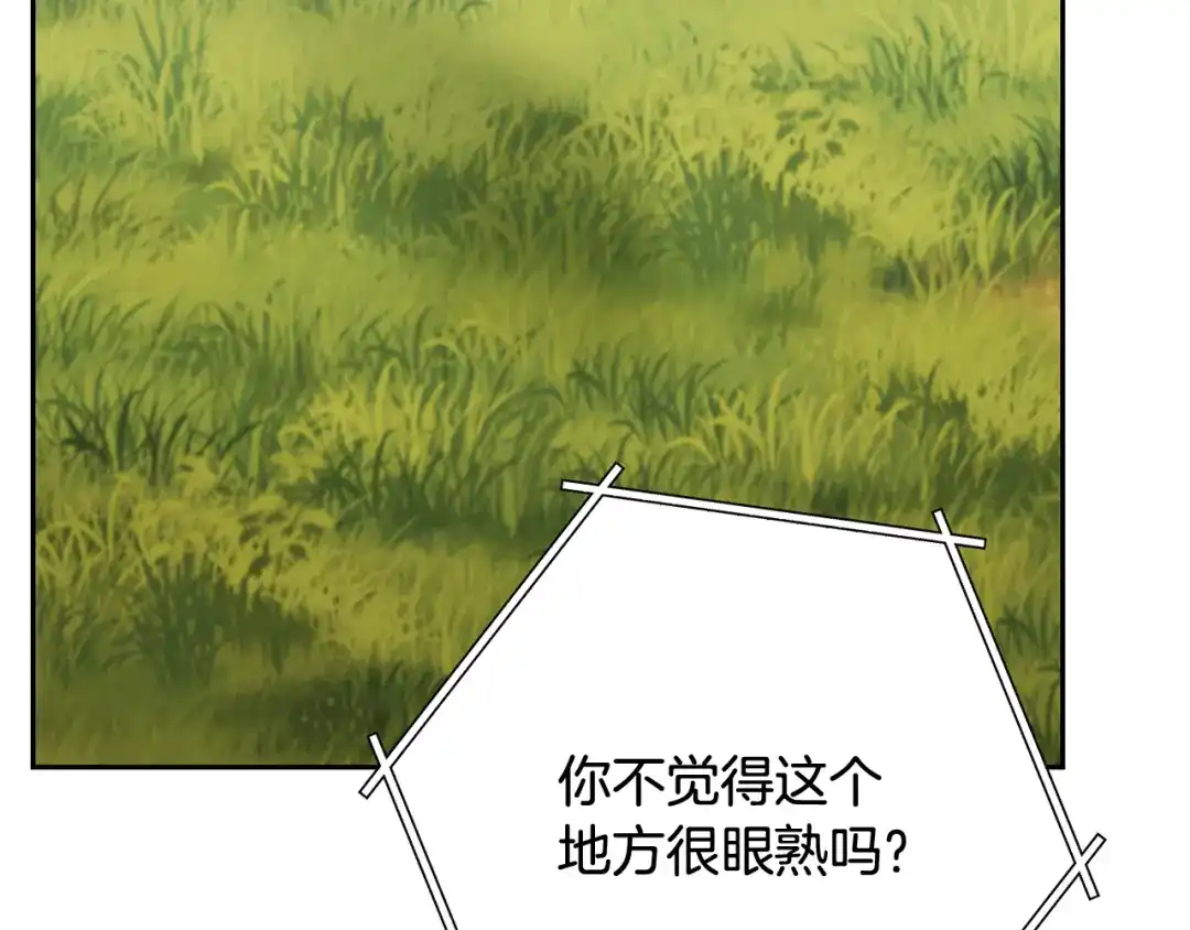 第254页