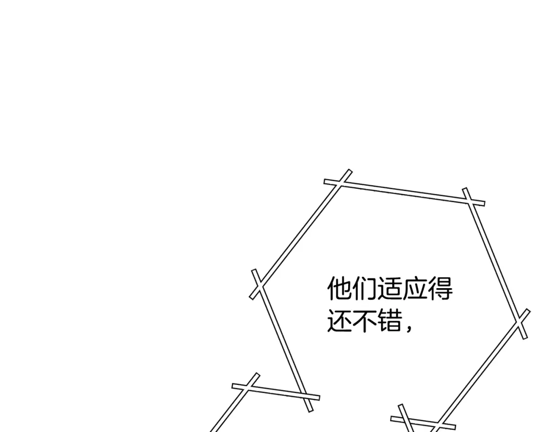 第229页