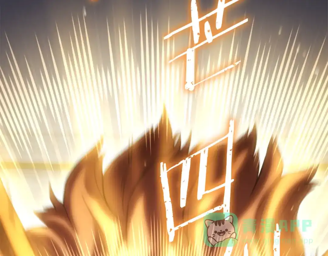 第221页