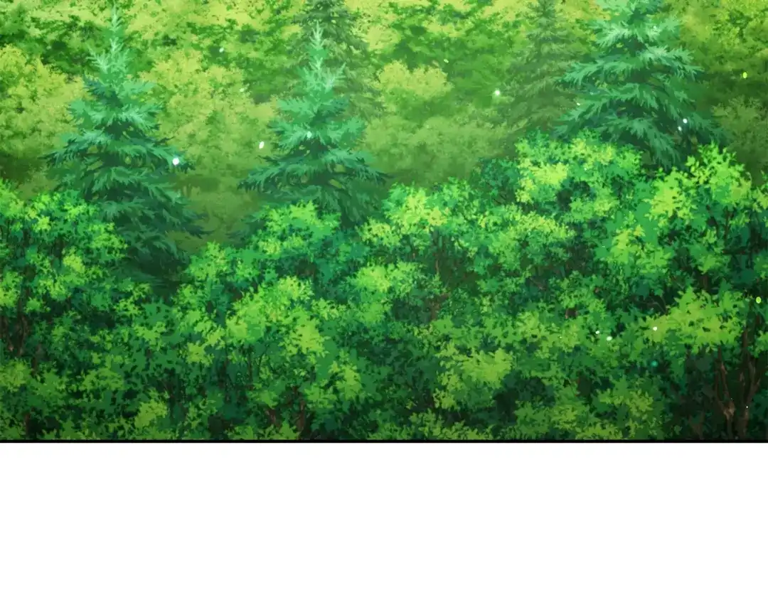 第255页