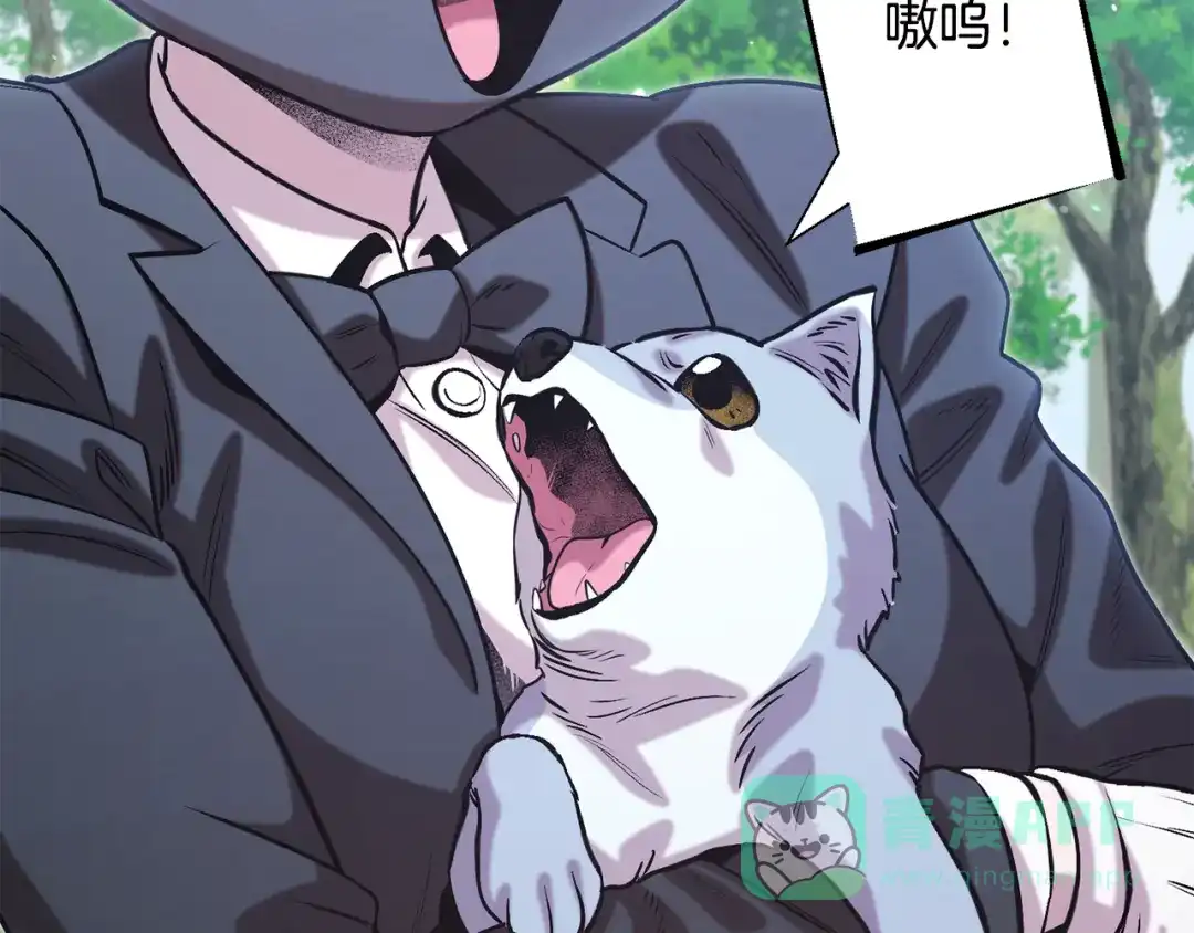 第261页