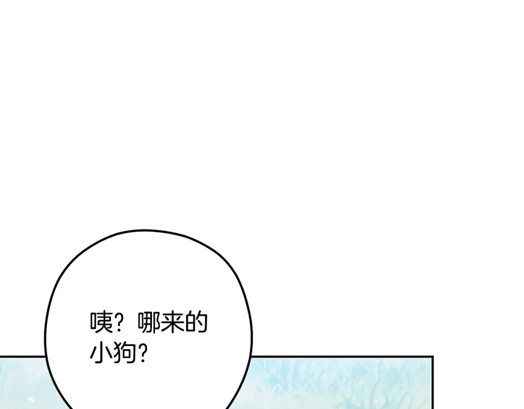 第269页