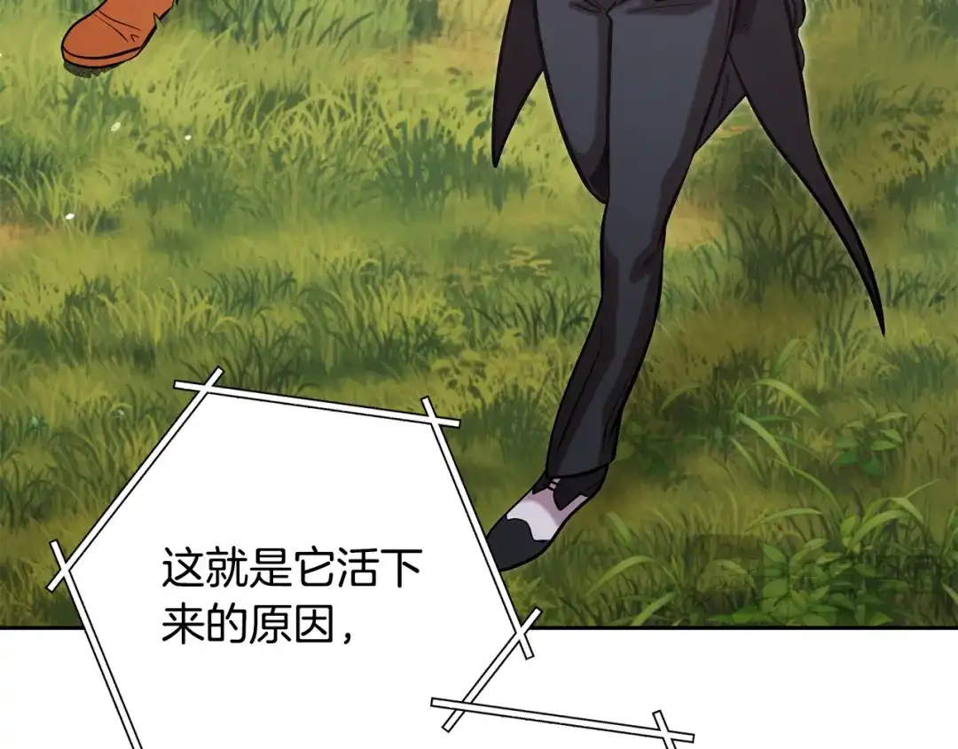 第289页