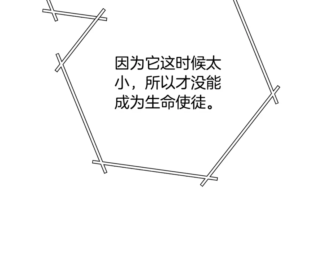 第290页