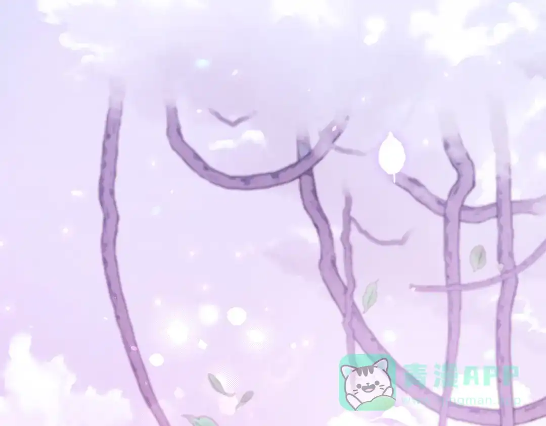 第246页
