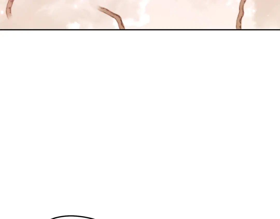 第255页