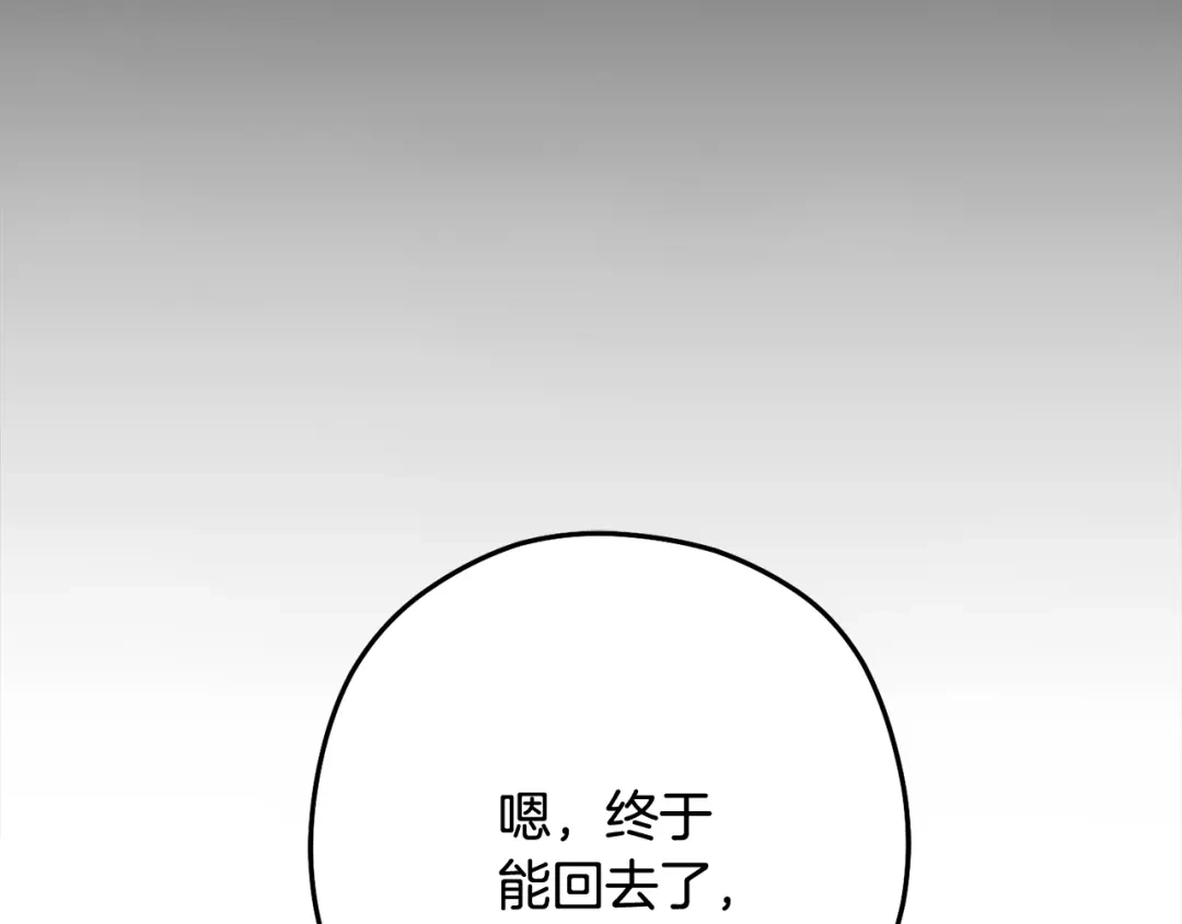 第335页