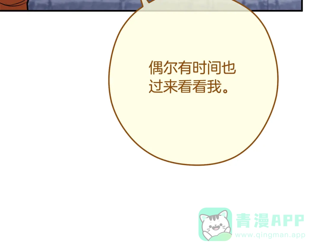 第236页