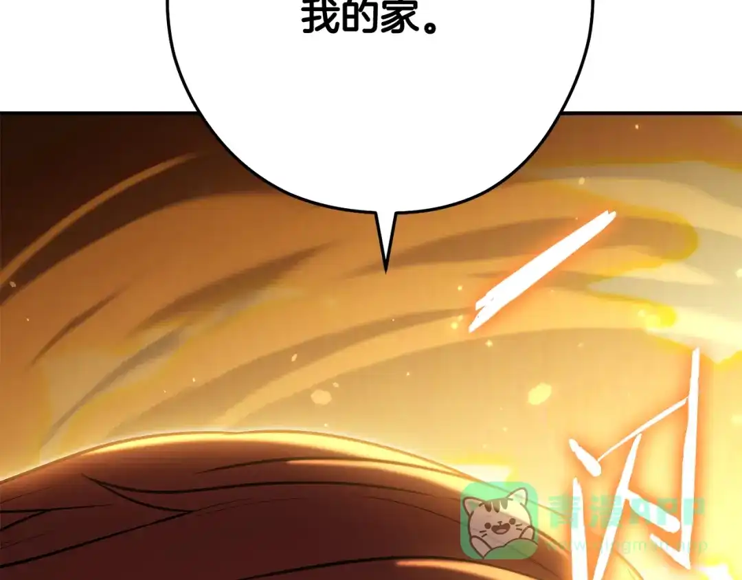 第241页