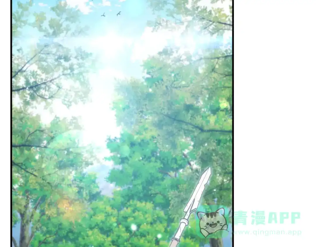 第246页