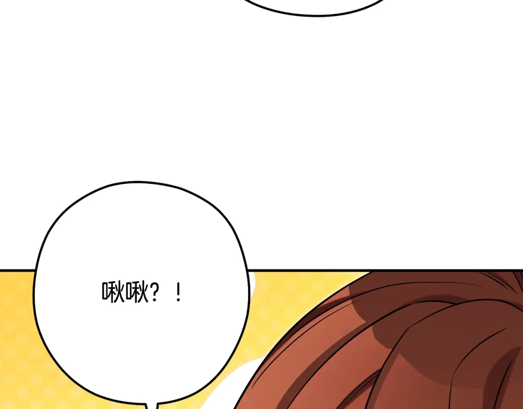 第282页
