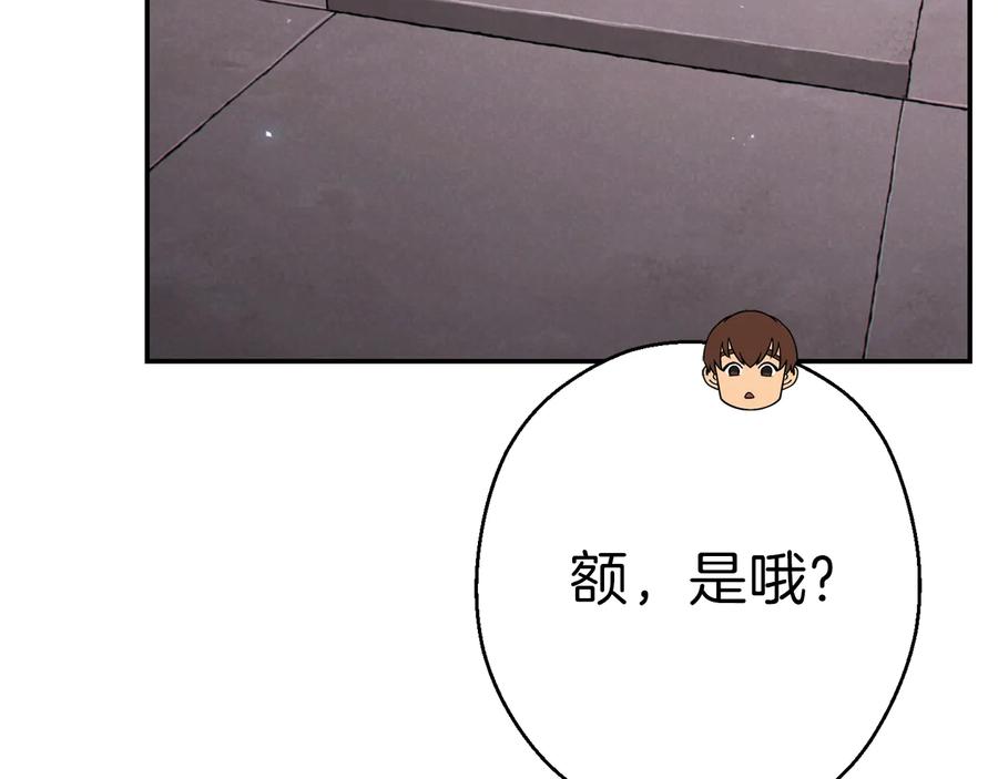第204页