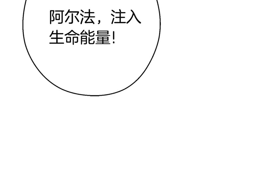 第206页