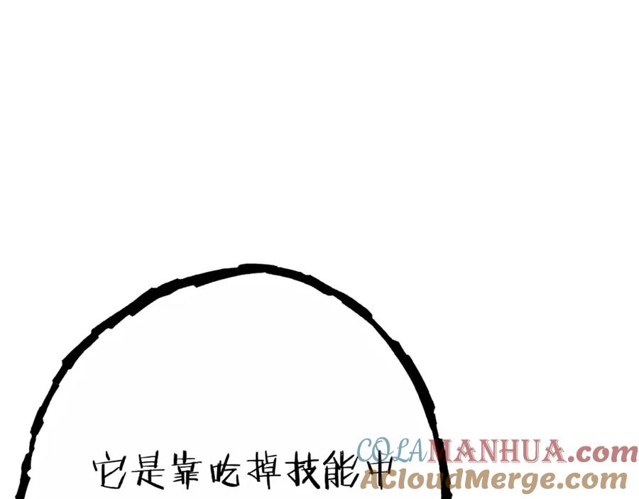 第205页
